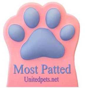 most patted paw